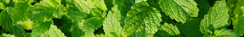 お取引に関して