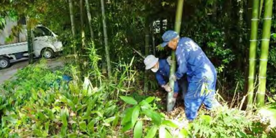 竹へのこだわり