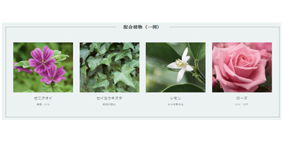 80種類以上の植物