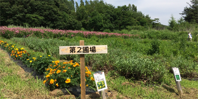 原料へのこだわり