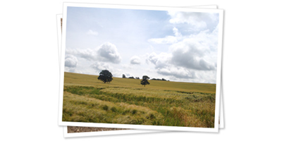 エフェクティブオーガニックブランドコンセプト