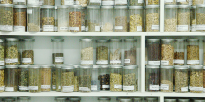 エイジングマネージメント