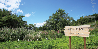 無農薬栽培を行う自社農園