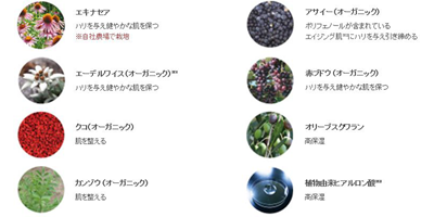 こだわりの美容成分