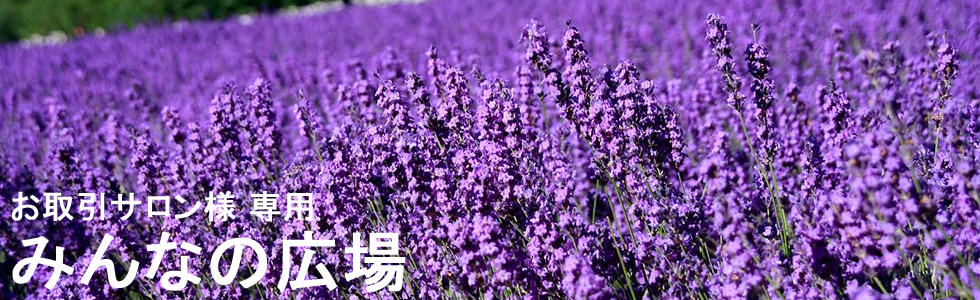 みんなの広場入口