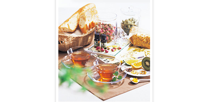 ヴェーダヴィブランドコンセプト